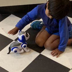 Link to events page with thumbnail of a child playing with a robotic toy on a black and white kitchen floor