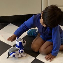 Thumbnail image of a child playing with a robotic dog